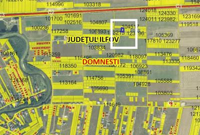 Teren Intravilan Domnesti - 1