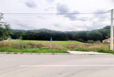 Teren superb Rasnov str Izvorului Cartierul Primaverii - 8