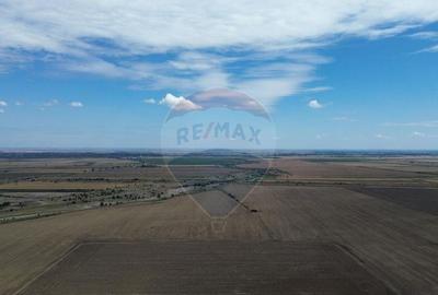 Teren de 27500 mp, în Tișița - 2