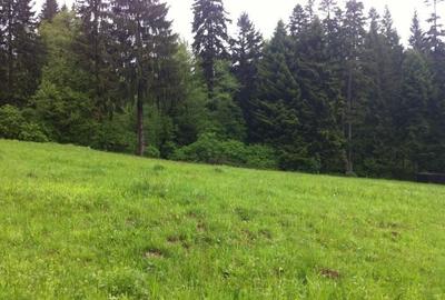 Teren intravilan Cotul Donului,pretabil Hotel/pensiune.