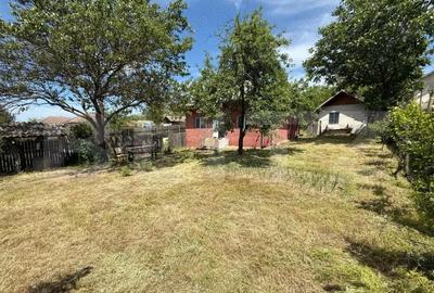 Casă cu Teren 6000 Mp în Central - 15