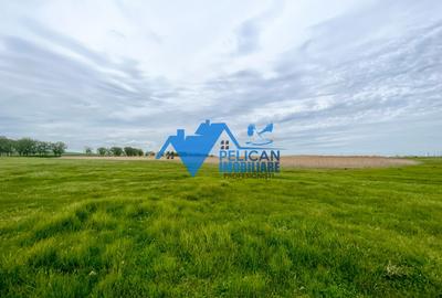 Teren Construcții extravilan de 27500 mp, în Murighiol - 7