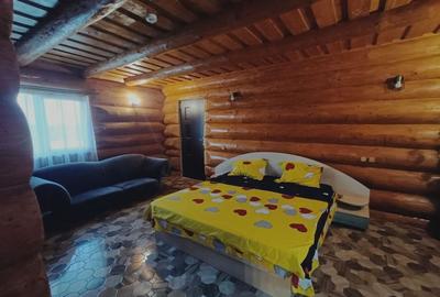 Pensiune cu piscina de vanzare in Jucu de Sus, Cluj. - 9