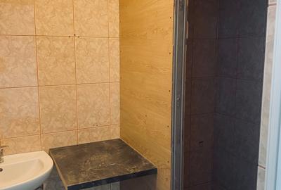 Spatiu comercial 80 mp cu intrare din strada Brancoveanu! - 8