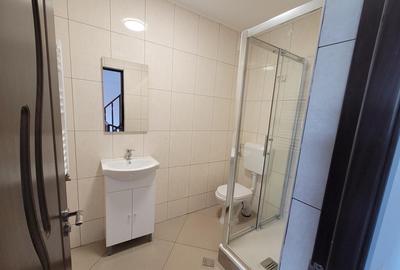 Casa individuala, ideala sediu firma Rahova- Teius - 7