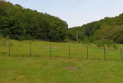 Teren de 1690 mp, în Răchițele de Jos - 1