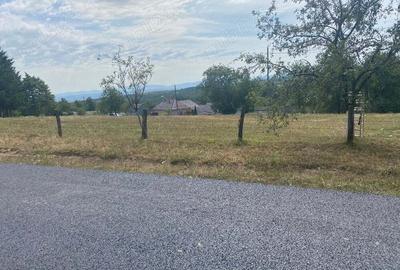 Casa Valea-tarnei sinteu - 2