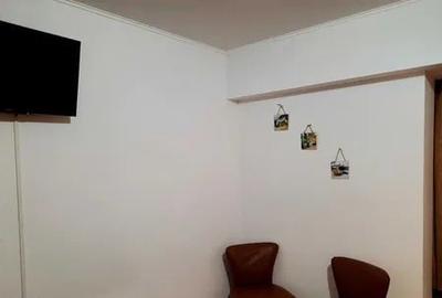 Apartament cu 1 camera, PET FRIENDLY, zona Alexandru Cel Bun - 4