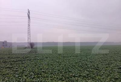 Teren de 15000 mp, în Păulești - 5