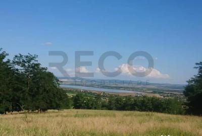 Teren de 8743 mp, în Tileagd - 1