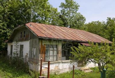 Casă cu Teren 713 Mp în Central - 1