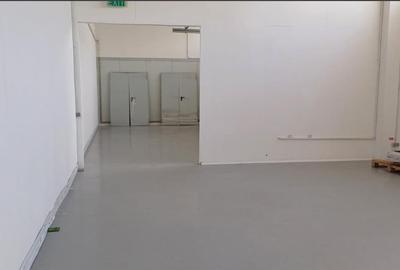 Spațiu industrial, de 870 mp, în Uzina 2 - 11