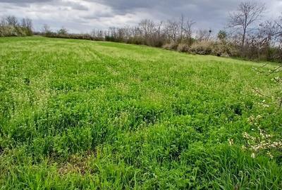 Teren de 6500 mp, în Hitiaș - 2