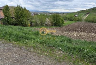 Teren de 2500 mp, în Gușterița - 4