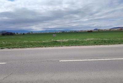 Teren agricol extravilan de 5550 mp, în Central
