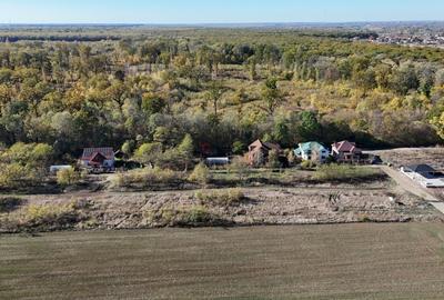 Snagov padure - Teren intravilan cu PUZ aprobat - 7