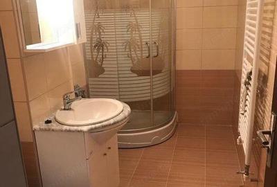 Apartament 2 camere zona Baba Novac - 5