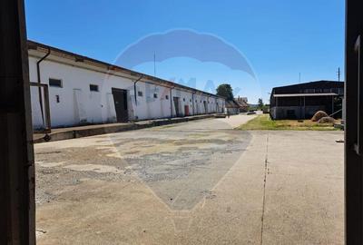 Spa?iu industrial de vanzare in Sangeorgiu de Padure... - 6
