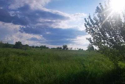 Teren intravilan 5 hectare comasat Bocsa 6 euro mp negociabil - 7