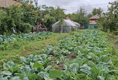 Casă cu 4 camere în Central - 4