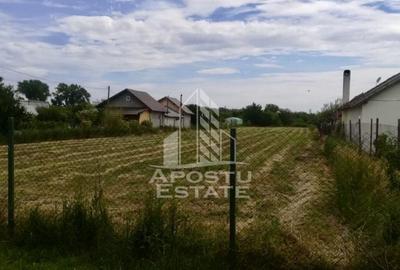 Teren de 3000 mp, în Uliuc