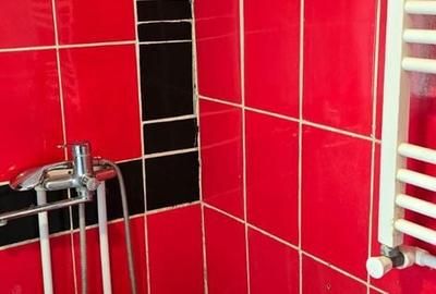 Casă cu 2 camere cu Teren 350 Mp în Roman - 13