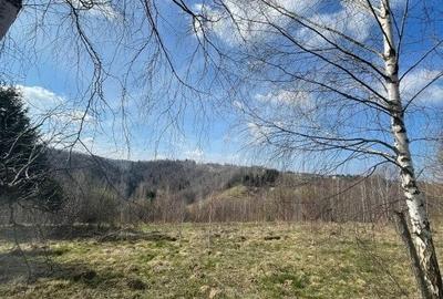 Teren cu panorama pentru cabana, Risca, Valea Fericirii - 4