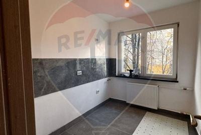 Apartament cu 2 camere decomandat, mobilat în Doamna Ghica - 9