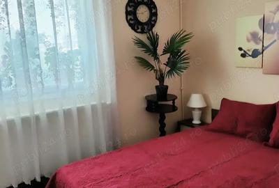 Apartament cu 2 camere, etajul 4/4, zona Podu Ros - 5