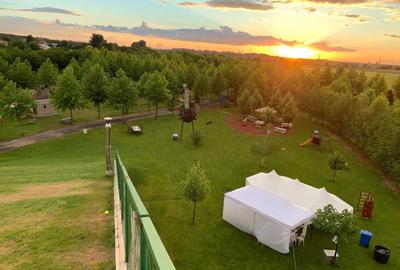 Spațiu comercial, în Joița - 6