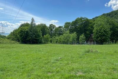 Teren de 20000 mp, în Reghin - 8