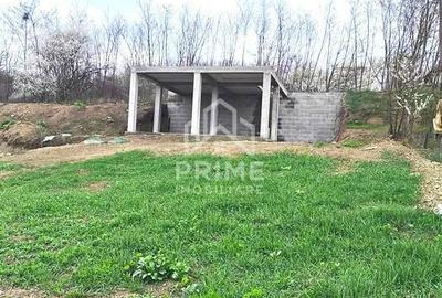 Spațiu comercial, în Teiu - 2