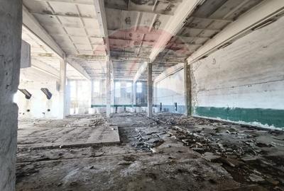 Spațiu industrial, de 5,000 mp, în Niculițel - 12