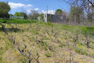 Teren intravilan 3.250 mp in File?ti Ideal pentru casa sau investi?ie! - 12