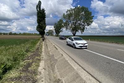Teren extravilan, zona Itesti, 8800 mp - 2