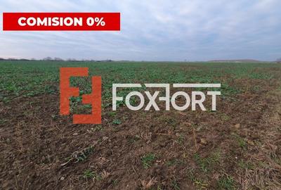 COMISION 0% Teren extravilan 20.000 mp la sosea in Sag - 6