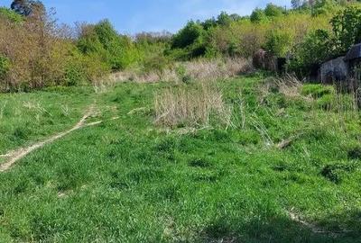 Teren de 1800 mp, în Dărmănești - 3