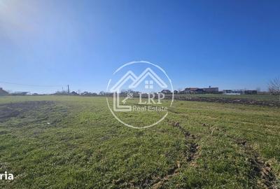 Teren de 646 mp, în Dascălu - 7