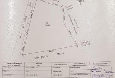 Teren extravilan de 4400 mp, în Ianculești - 6