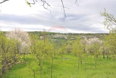 Teren intravilan Masca | 2811mp | livada - 2
