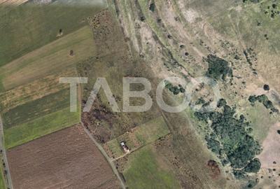 Teren extravilan de vanzare 4496 mp constructie cabana Gusterita Sibiu - 1