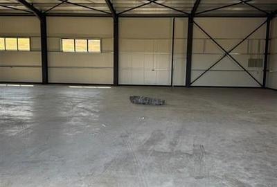 Parc Logistic in Miroslava alcătuit din 5 hale - 12