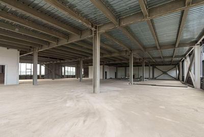 Stefanesti Center A3 Centura Spatiu 900mp cladire comerci... - 11