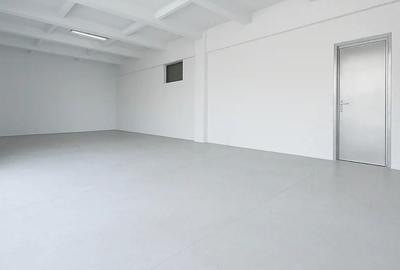 Inchiriez hala calea borsului - 1