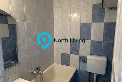 Casă individuală cu 3 camere cu Canalizare în Cișmigiu - 6