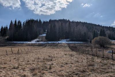 Teren de 1602 mp, în Exterior Vest - 7