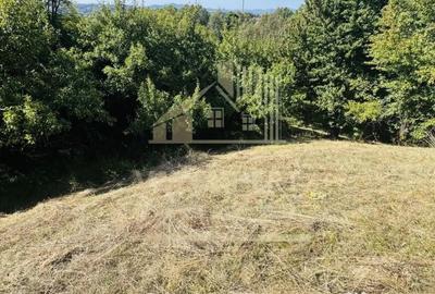 Teren de 3234 mp, în Lerești - 3