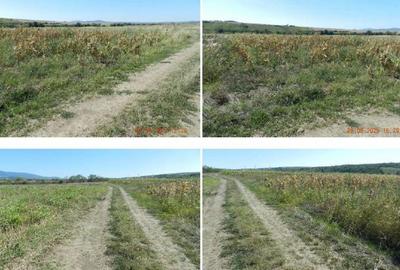 Teren extravilan arabil, situat in Oravita, Jud Caras-Sev... - 1