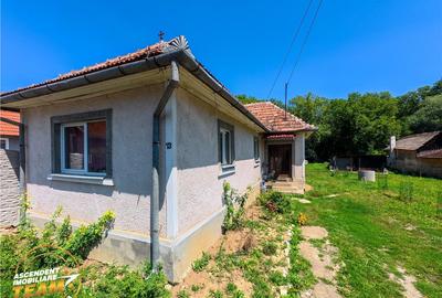 Casa luminoasa de 107 mp, 1.000mp teren, 250 m de izvorul cu - 32