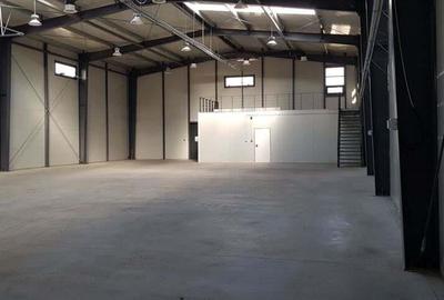 Spatiu depozitare si productie Mogosoaia - 2